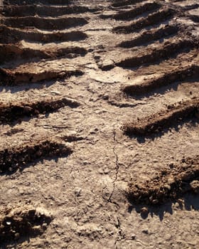 Bulldozer tracks remained on the dry clay road.