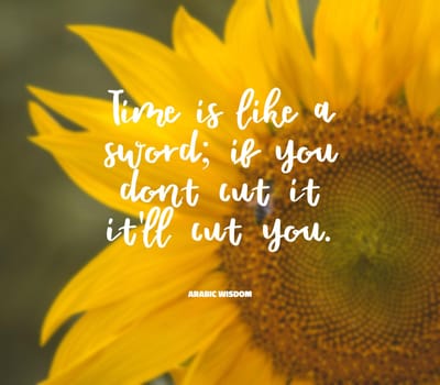Quote,inspirational text. Time is like a sword; if you dont cut it it'll cut you..