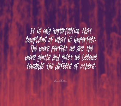 Quote,inspirational text. It is only imperfection that complains of what is imperfect. The more perfect we are the more gentle and quiet we become towards the defects of others..
