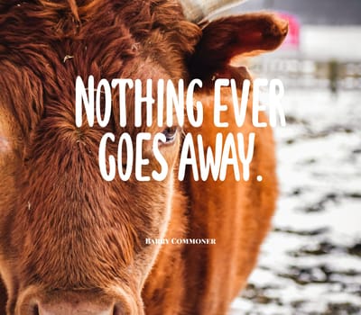 Quote,inspirational text. Nothing ever goes away..