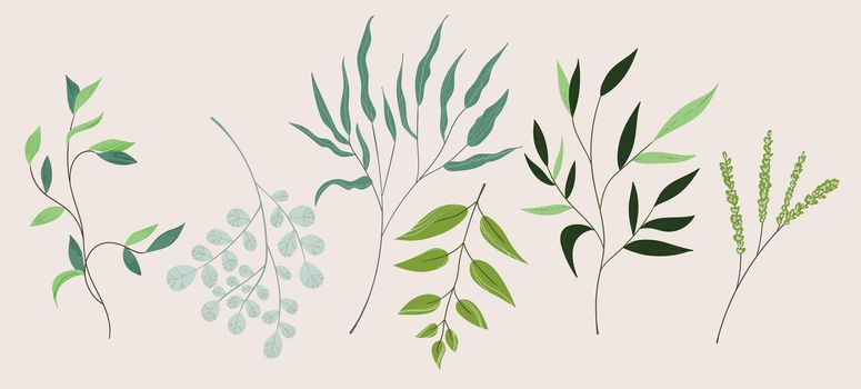 Floral set hand drawn color leaves. Cute isolated elements. Clip art for stationery, web design. Modern floral compositions. Vector illustration