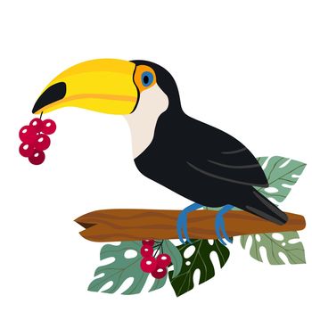 Cute cartoon toucan bird on branch. Vector illustration for invitations, card, poster. Summer exotic print. Tropical toucan icon with floral palm leaves.