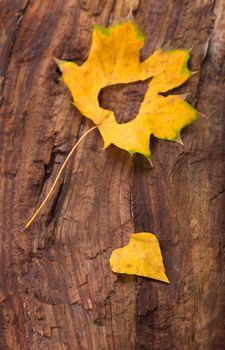 Colorful heart made of autumn leaves on a wooden background.