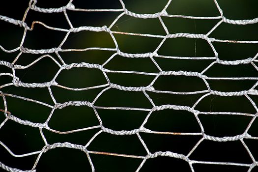 Hexagonal cell. Against a dark background.