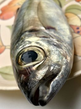 Closeup view of the head of the lady fish kept in a plate for sale in the market