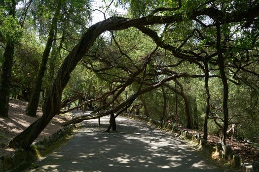 Parque de La Salette Park in Oliveira de Azemeis, Portugal