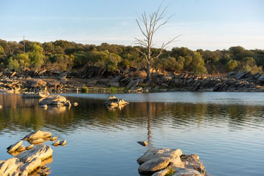 Beautiful tree with rocks on the Guadiana river on a summer day in Alentejo in the border between Portugal and Spain