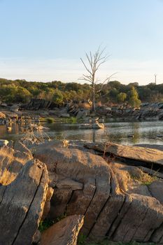 Beautiful tree with rocks on the Guadiana river on a summer day in Alentejo in the border between Portugal and Spain