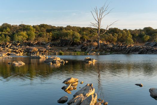 Beautiful tree with rocks on the Guadiana river on a summer day in Alentejo in the border between Portugal and Spain