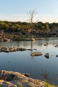 Beautiful tree with rocks on the Guadiana river on a summer day in Alentejo in the border between Portugal and Spain