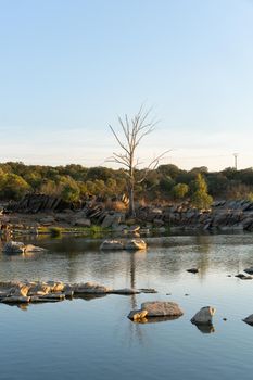 Beautiful tree with rocks on the Guadiana river on a summer day in Alentejo in the border between Portugal and Spain