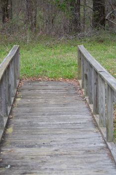 Wooden bridge with guardrails leading into the woods