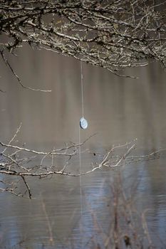 Silver anchor and thin fishing line tied to a branch for an underwater trotline