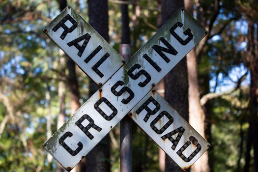 Close up of a railroad crossing sign in a forest