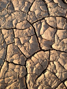 Image of cracked clay. Texture for background. Natural background for your design.