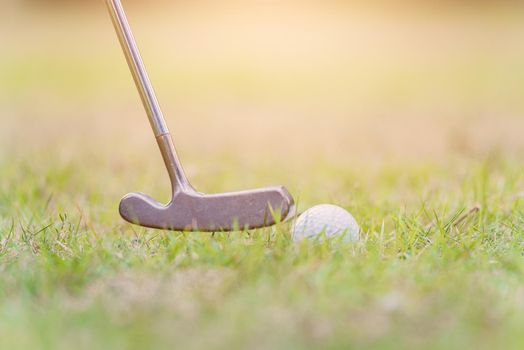 Closeup golf club and a white golf ball in the grass ready to the driver in tournament, outdoor sport