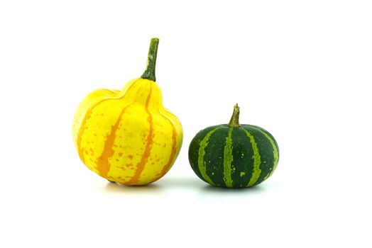Colorful pumpkins and squashes isolated on white background