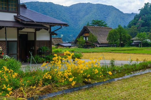 Traditional gassho-zukuri farmhouses, in Ogimachi village, Shirakawa-go, Ono, Japan