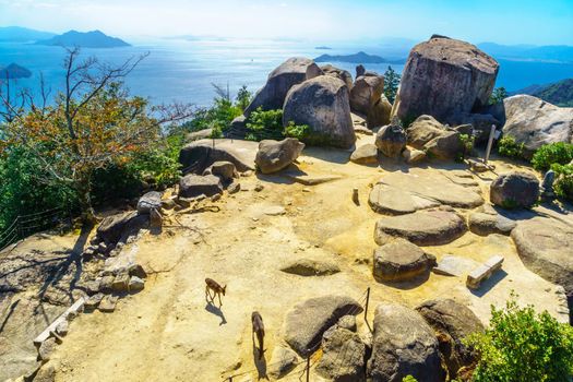 View of the top of Mount Misen, in Miyajima (Itsukushima) Island, Japan