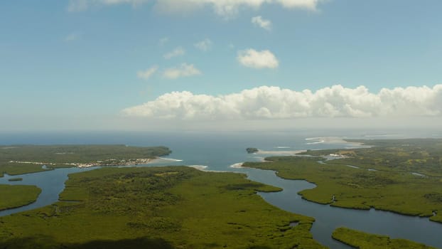 Mangrove green forests with rivers and channels on the tropical island, aerial drone. Mangrove landscape.