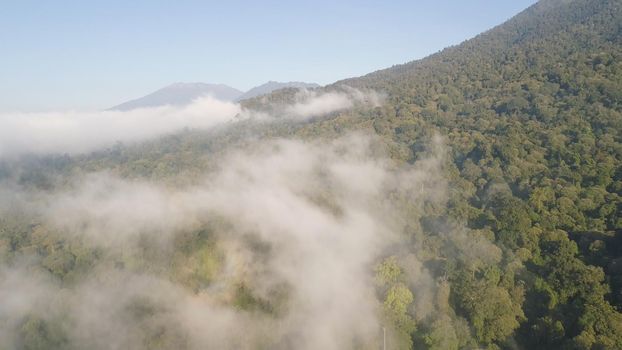 aerial view tropical forest covered clouds with lush vegetation and mountains, java island. tropical landscape, rainforest in mountainous area Indonesia. green, lush vegetation.