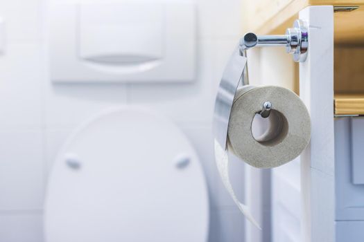 Close up of toilet paper roll on chrome hanger