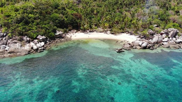 Bungalows and green coconut palms on tropical beach. Cottages on sandy shore of diving and snorkeling resort on Koh Tao paradise island near calm blue sea on sunny day in Thailand. Drone view