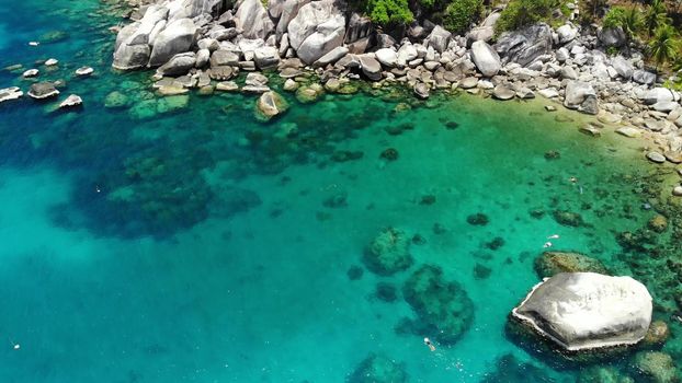 Tropical palms and stones on small beach. Many green exotic palms growing on rocky shore near calm blue sea in Hin Wong Bay on sunny day in Thailand. Koh Tao exotic paradise island