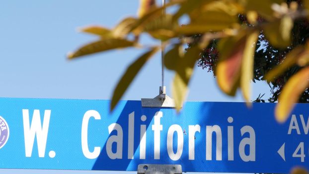 California street road sign on crossroad. Lettering on intersection signpost, symbol of summertime travel and vacations. USA tourist destination. Text on nameboard in city near Los Angeles, route 101.