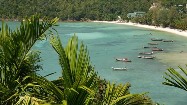 Boats near shore of island. Traditional colorful fishing vessels floating on calm blue water near white sand coast of tropical exotic paradise island. View through green palm leaves. Koh Phangan.