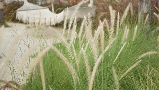 Mesh retro hipster hammock hanging in garden with high green grass in daylight. Spikelets in a vintage yard. Modern stylish background with macrame. Relax, travel vacation holiday resort concept