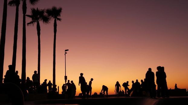 Silhouette of young jumping skateboarder riding longboard, summer sunset background. Venice Ocean Beach skatepark, Los Angeles California. Teens on skateboard ramp, extreme park. Group of teenagers