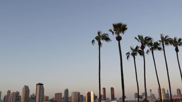 Metropolis urban skyline, highrise skyscrapers, San Diego Bay, California USA. Pacific ocean harbour in sunset light, view from Coronado island. City downtown buildings and silhouettes of palm trees.