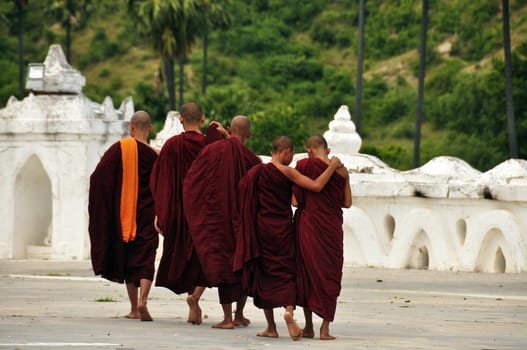 Monks of temple walking outdoors, Back view of group of monks in traditional robes walking together on terrace of Hsinbyume paya temple. Burma, Myanmar, Mandalay