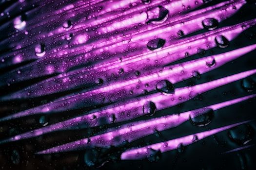A purple abstract macro background with a gradient pattern