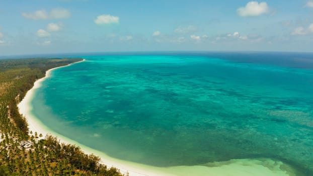 Tropical island with beautiful beach, palm trees by turquoise water view from above. Summer and travel vacation concept.