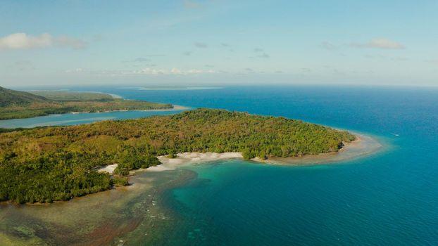 Seascape: shore of island Balabac with forest and palm trees, coral reef with turquoise water, top view. Coastline of tropical island covered with green forest against the blue sky with clouds and blue sea
