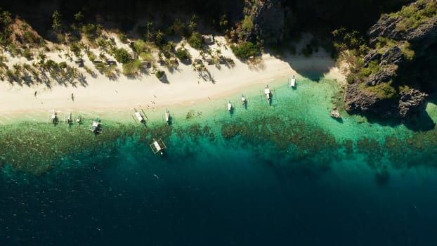 aerial drone tropical island and sand beach with palm trees. Malajon Island, Philippines, Palawan. tourist boats on coast tropical island. Summer and travel vacation concept. beach and blue clear sea water