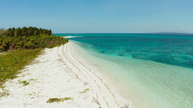 White sandy beach with turquoise water by atoll coral reef and blue sea, aerial view. Small island Canimeran with sandy beach. Summer and travel vacation concept. Balabac, Palawan, Philippines.