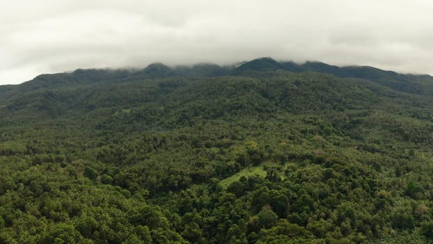 Mountains covered rainforest, trees in cloudy weather, aerial view. Camiguin, Philippines. Mountain landscape on tropical island with mountain peaks covered with forest. Slopes of mountains with evergreen vegetation.