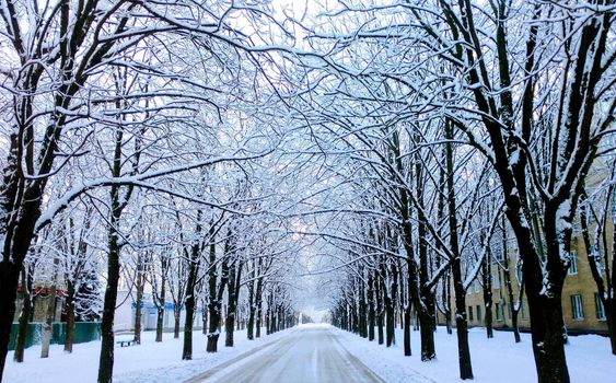 Winter empty snow-covered street in the early morning of January.