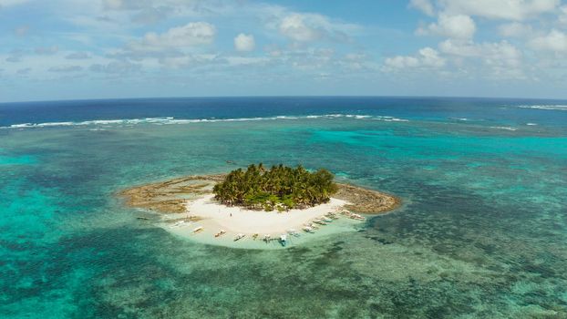 Tropical landscape: Guyam island with beautiful beach, palm trees by turquoise water view from above. Siargao, Philippines. Summer and travel vacation concept