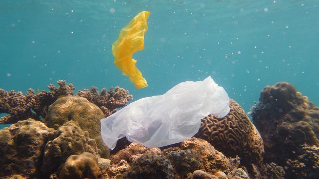 The sea and the coral reef is polluted with plastic bags and human waste. Environmental Pollution and Ecological problem.