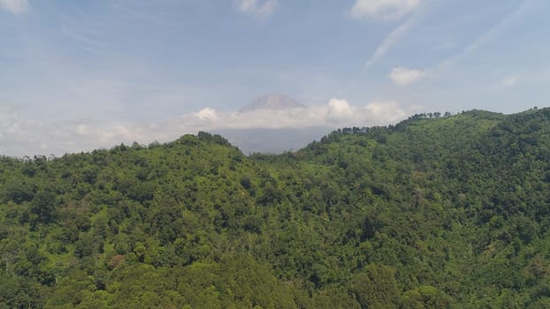 mountain landscape mountains covered green tropical forest, blue sky. aerial view slope mountain forest with large trees and green grass. Jawa, Indonesia