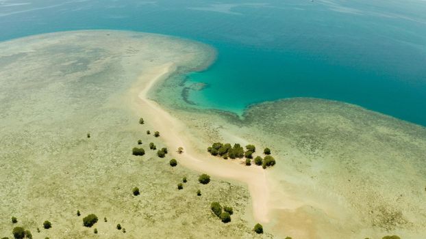 Mangrove trees on coral reef with sand bar surrounded by sea blue water. aerial view tropical island with mangroves. Mangrove landscape, Philippines.