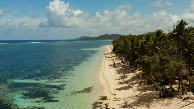 Tropical sandy beach with palm trees and blue water, aerial view. Summer and travel vacation concept. Siargao, Philippines.