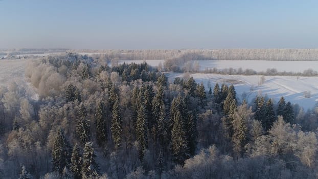 aerial view village among the fields and forests in winter. winter landscape snow covered field and trees in countryside.