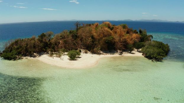 aerial view tropical island with sand white beach, clear and blue water. CYC Beach, Philippines, Palawan. Tropical landscape with blue lagoon, coral reef. travel concept