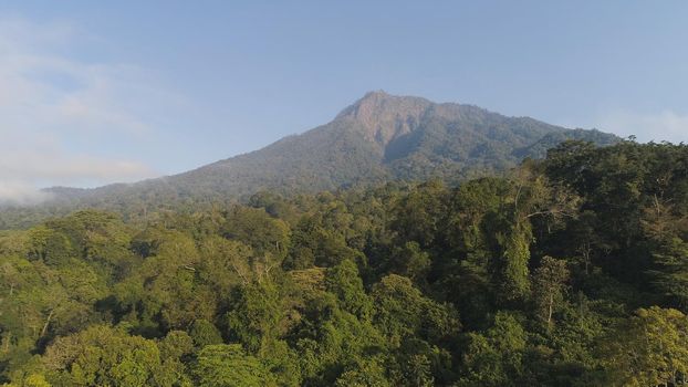 aerial view tropical forest with lush vegetation and mountains, java island. tropical landscape, rainforest in mountainous area Indonesia. green, lush vegetation.