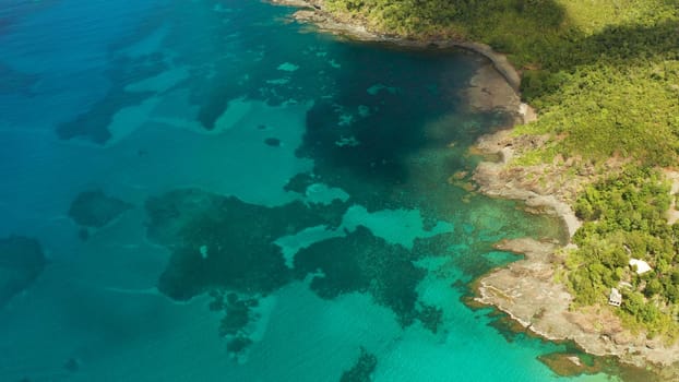 Aerial view turquoise water in the lagoon and coral reef. Palawan, Philippines. Seascape island and clear blue water tropical landscape